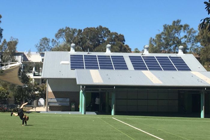 Bondi Public School Solar